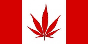 canada-pot-leaf